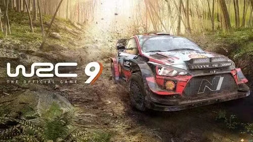 世界汽车拉力锦标赛9/WRC 9 FIA World Rally Championship